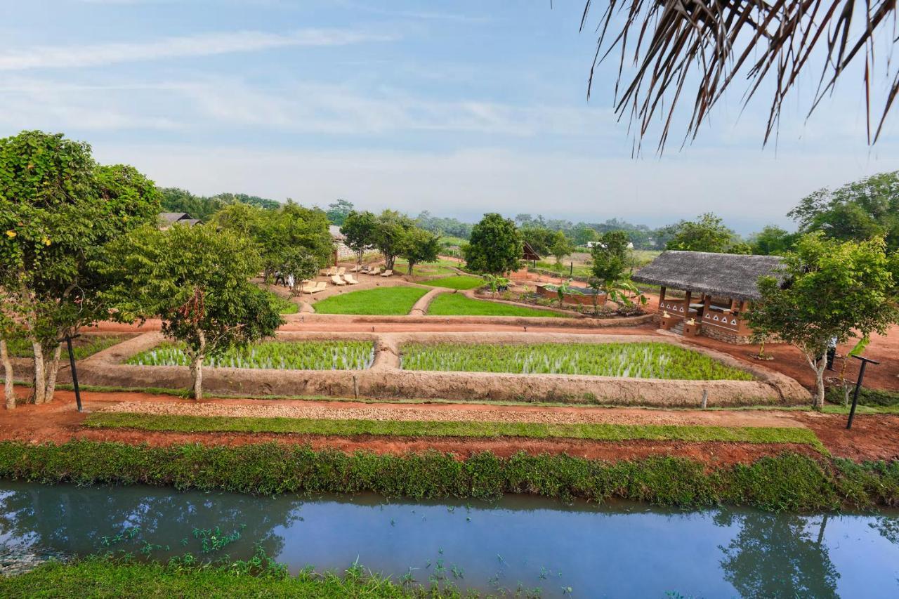 Отель Ayurvie Sigiriya - Ayurvedic Retreat By Thema Collection Экстерьер фото